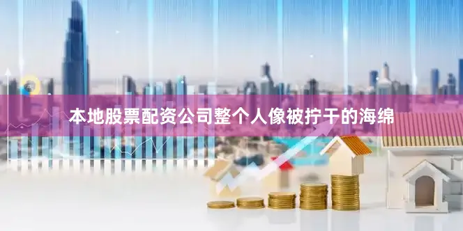 本地股票配资公司整个人像被拧干的海绵