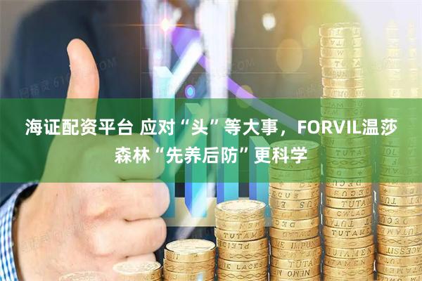 海证配资平台 应对“头”等大事，FORVIL温莎森林“先养后防”更科学