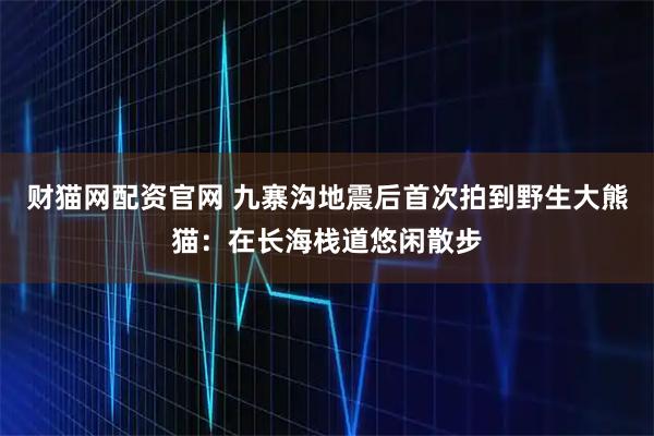财猫网配资官网 九寨沟地震后首次拍到野生大熊猫:在长海栈道悠闲散步